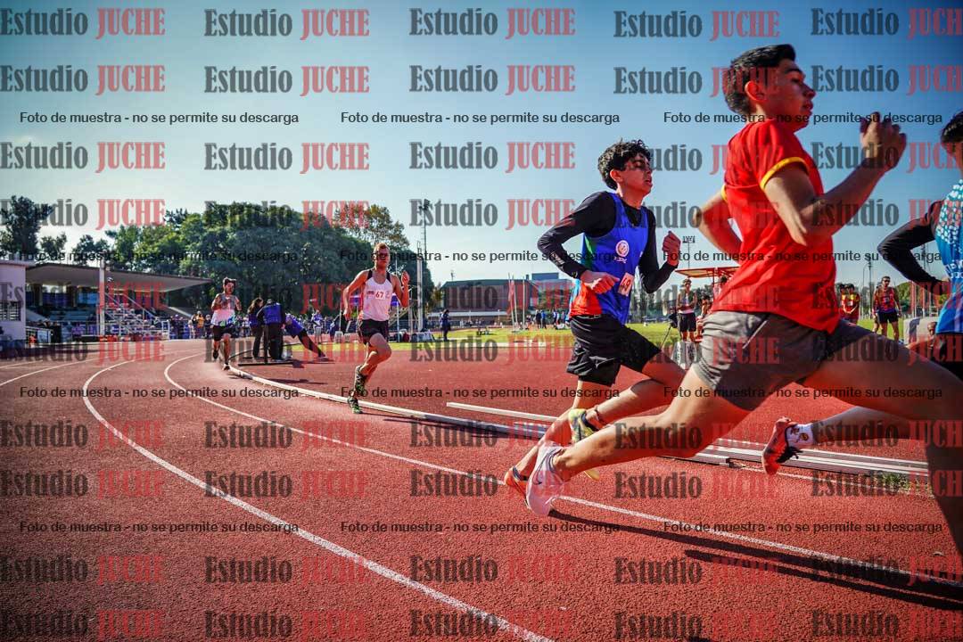 Fotos de los 800 m llanos de varones