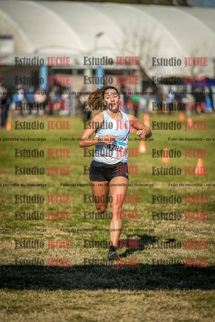Fotos de las llegadas
