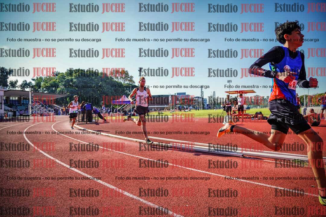 Fotos de los 800 m llanos de varones