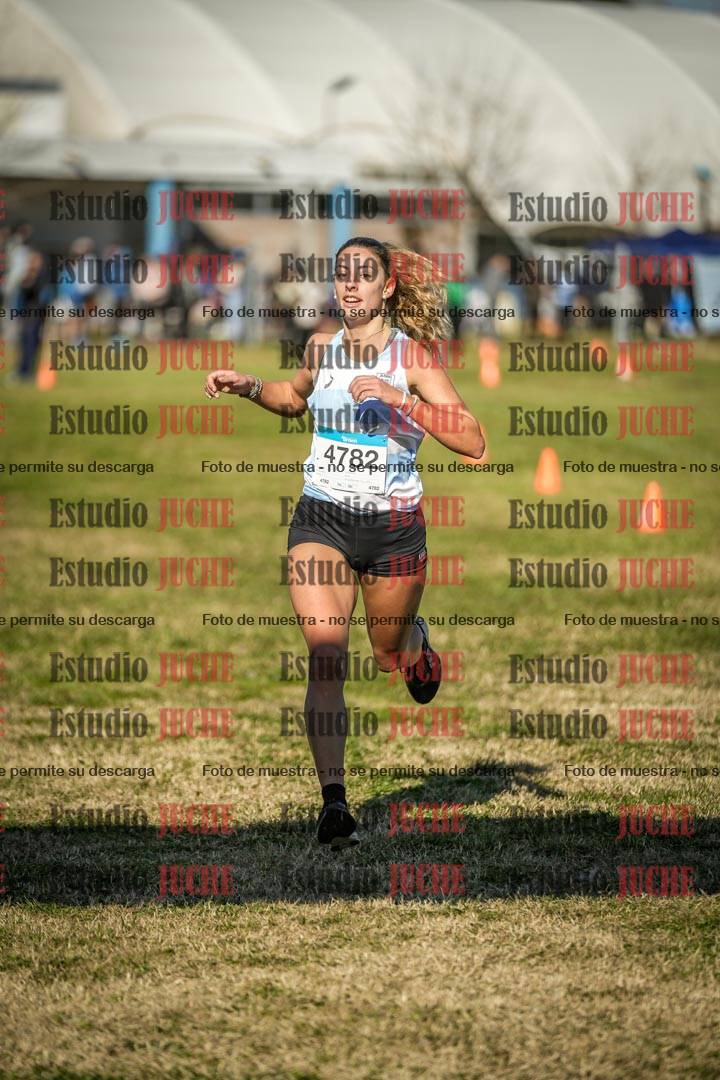 Fotos de las llegadas