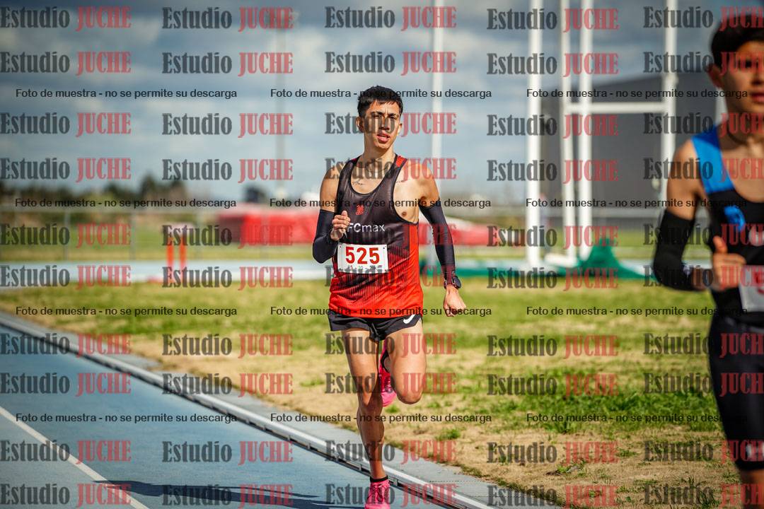 Fotos de los 5000 m llanos de varones