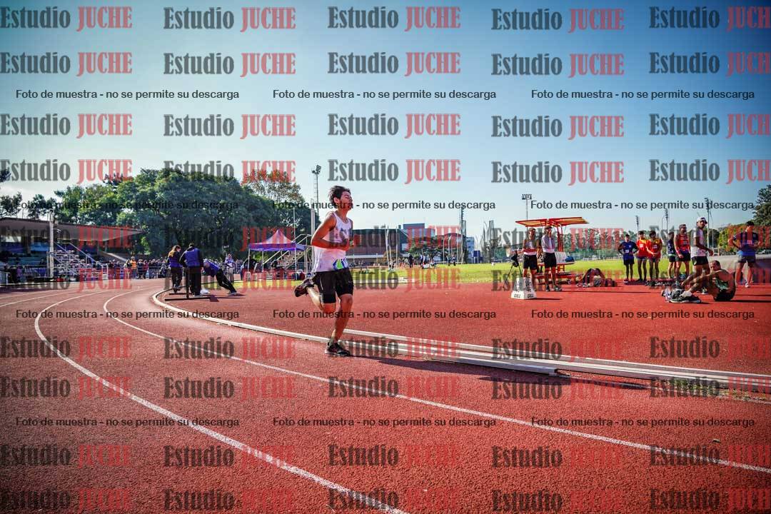 Fotos de los 800 m llanos de varones