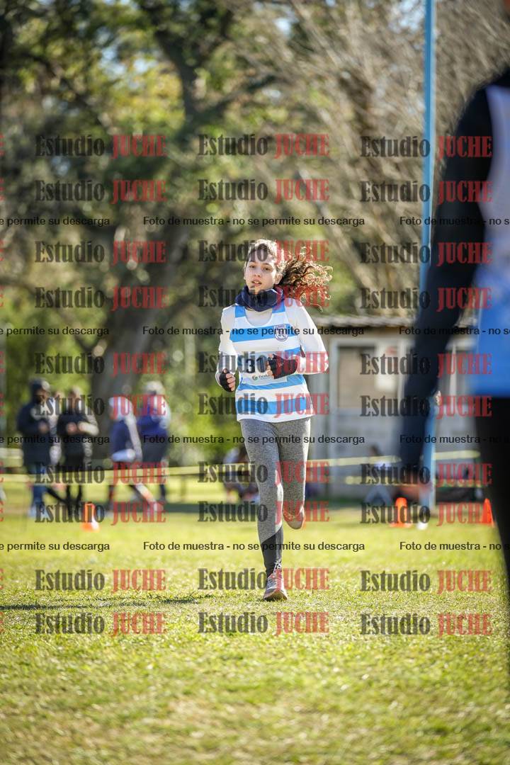 Fotos de la llegada del cross de 1500 m