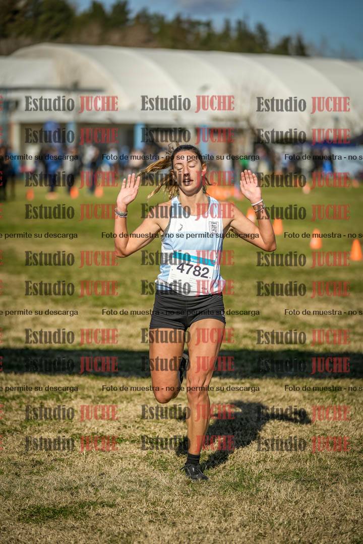 Fotos de las llegadas