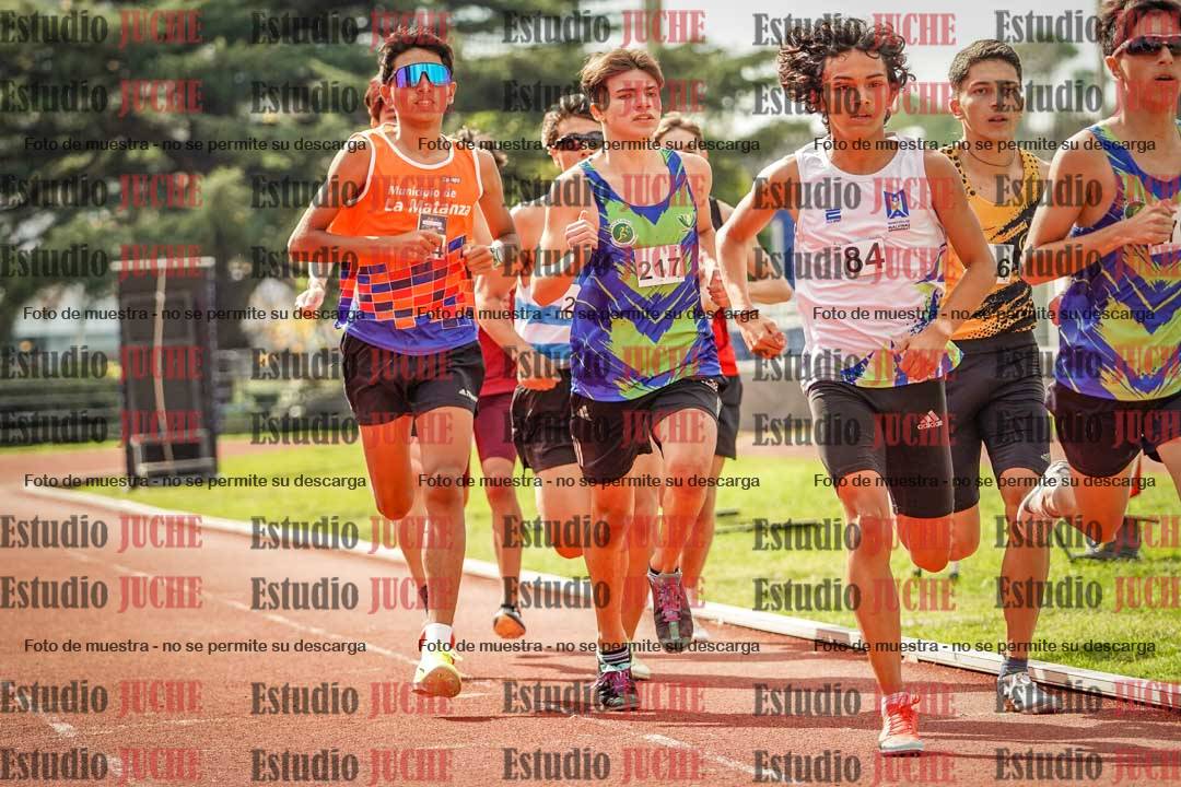 Fotos de los 800 m llanos de varones