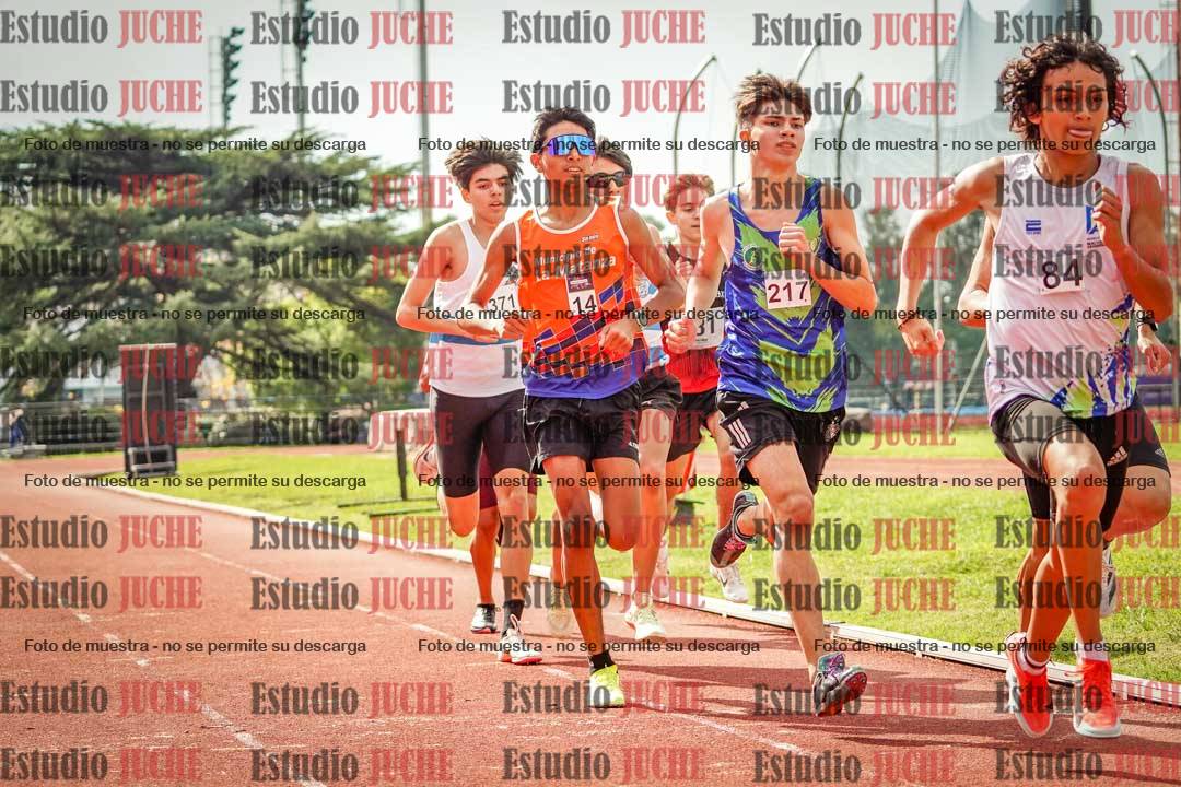 Fotos de los 800 m llanos de varones