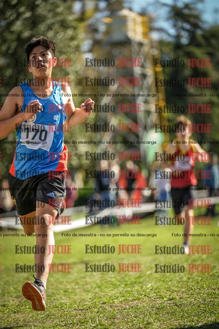 Fotos de la llegada del cross de 2000 m