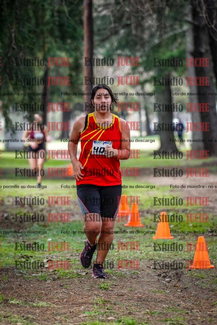 Fotos en el circuito