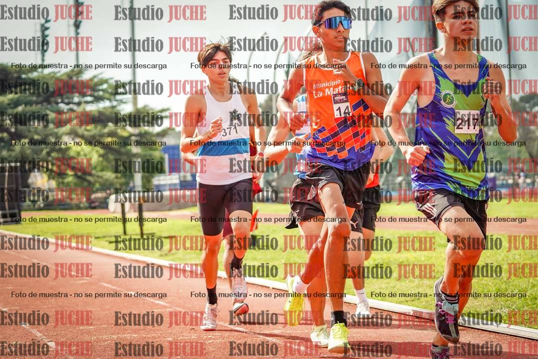 Fotos de los 800 m llanos de varones