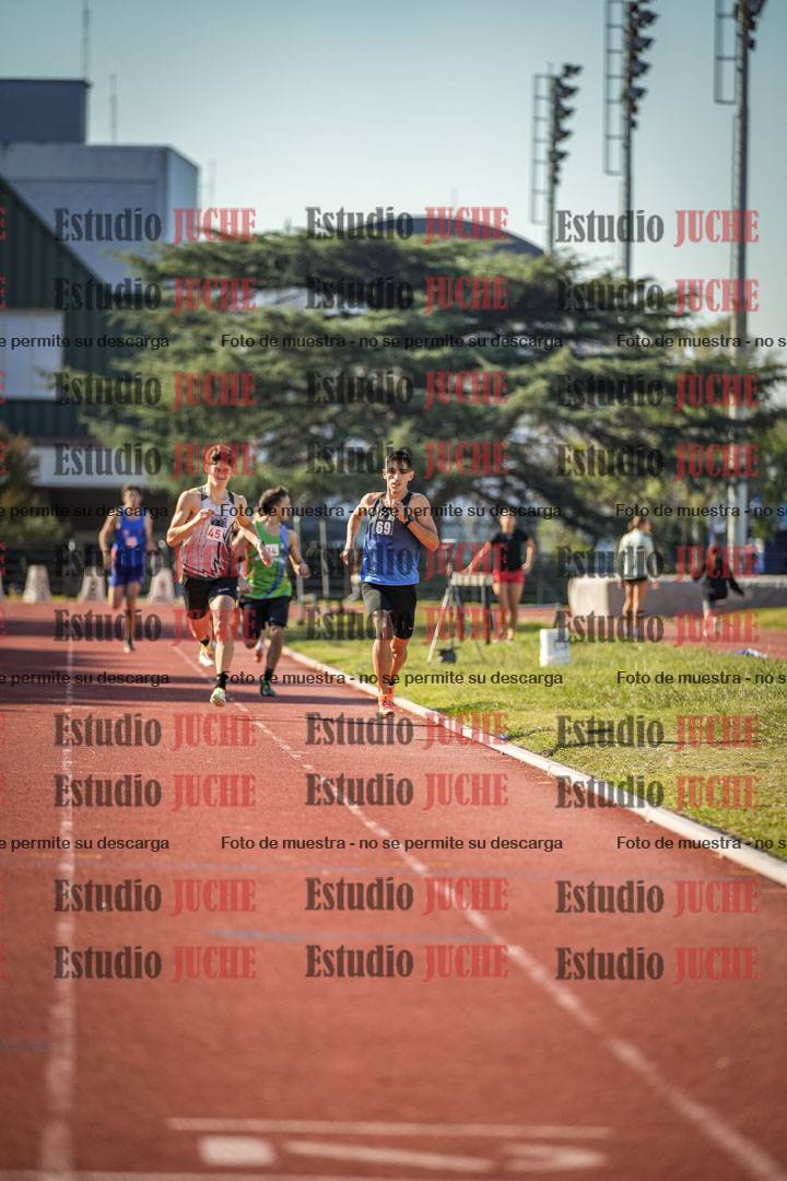 Fotos de los 800 m llanos de varones