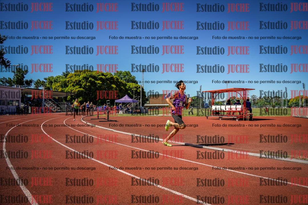 Fotos de los 800 m llanos de varones