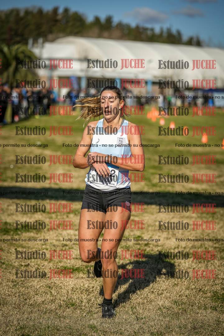 Fotos de las llegadas