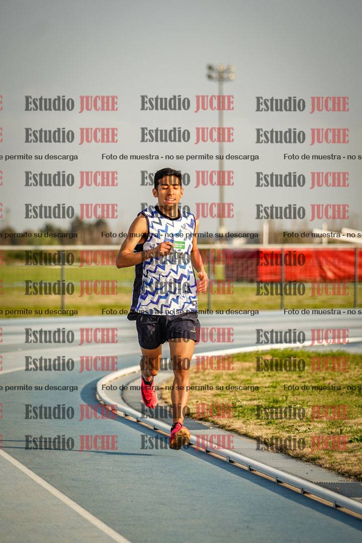 Fotos de los 3000 m llanos de varones