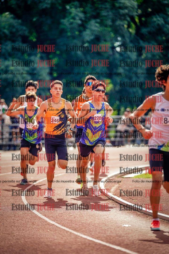 Fotos de los 800 m llanos de varones