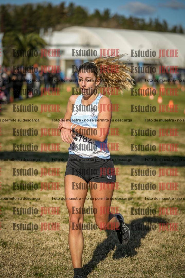Fotos de las llegadas