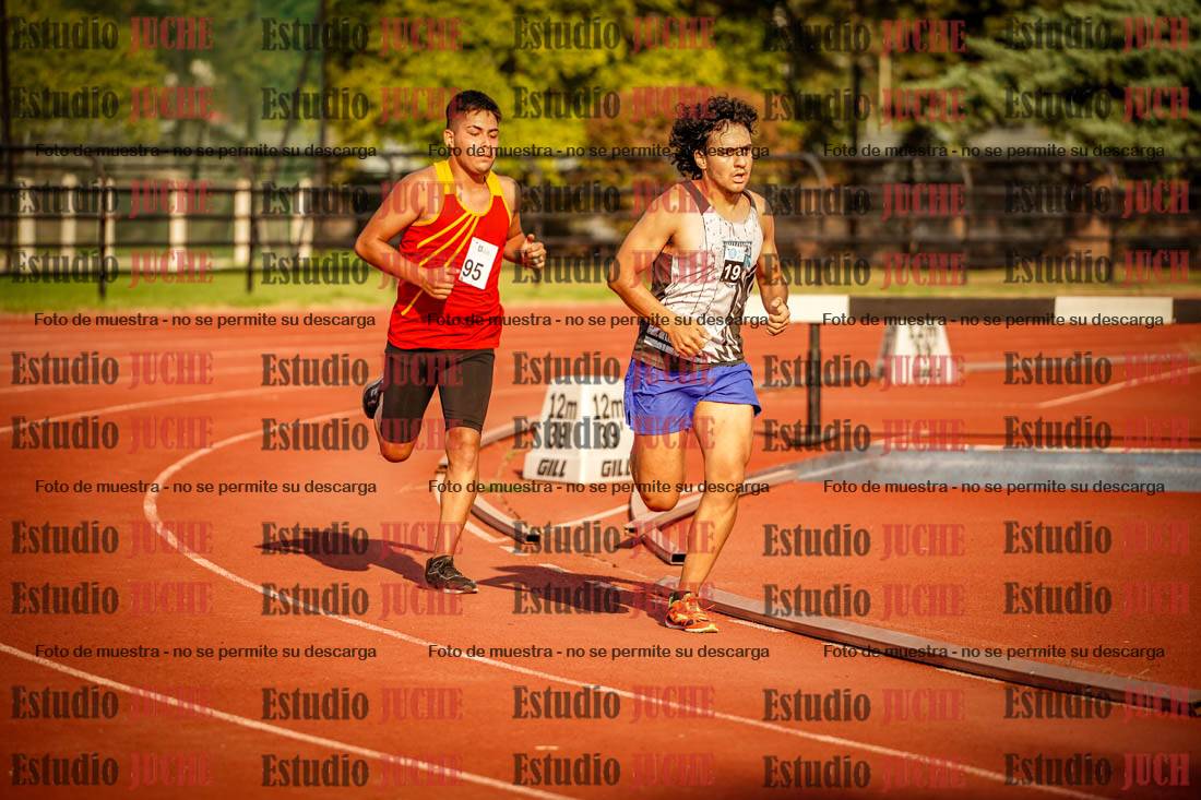 Fotos de los 1500 m llanos de varones