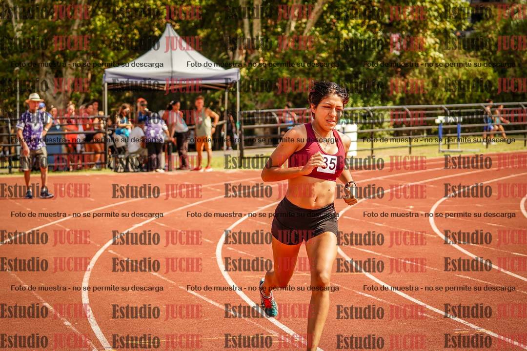 Fotos de los 800 m llanos de mujeres