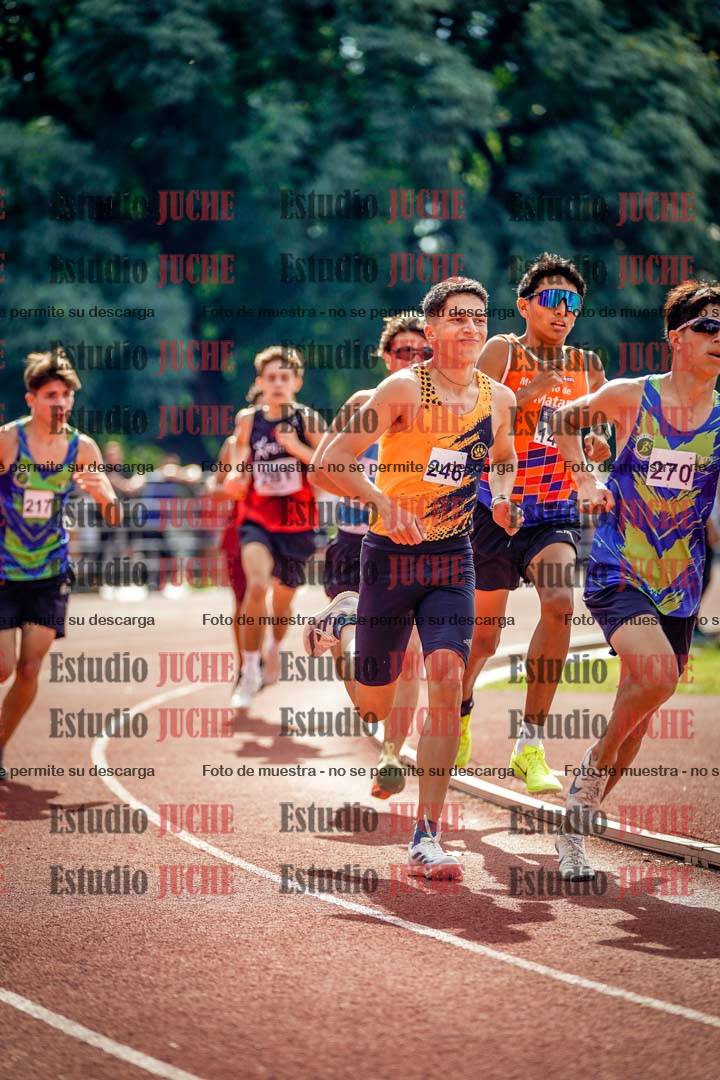 Fotos de los 800 m llanos de varones