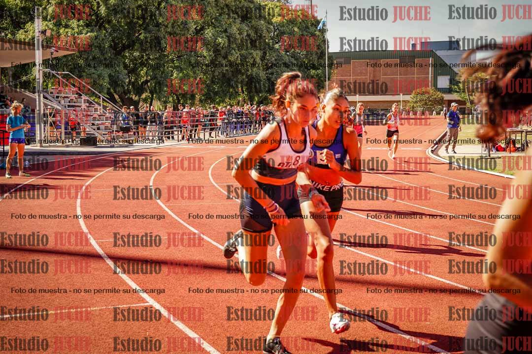 Fotos de los 800 m llanos de mujeres