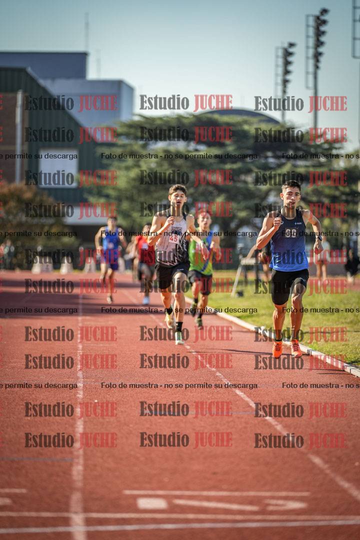 Fotos de los 800 m llanos de varones
