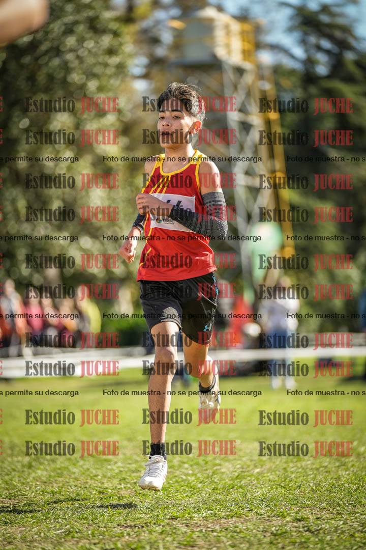Fotos de la llegada del cross de 2000 m