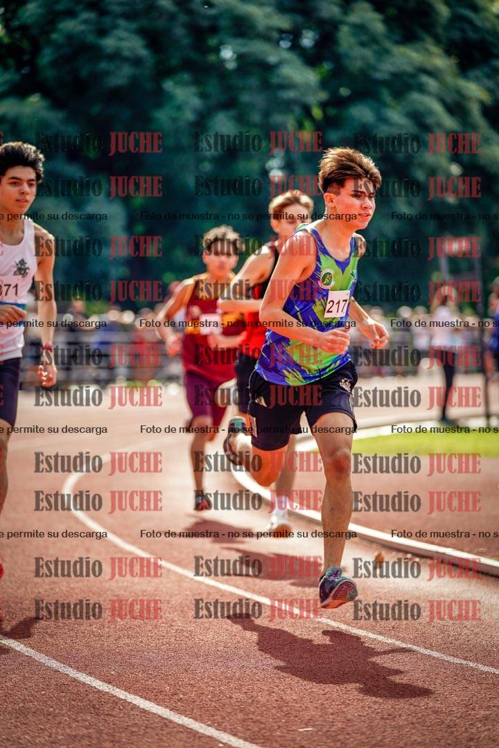 Fotos de los 800 m llanos de varones