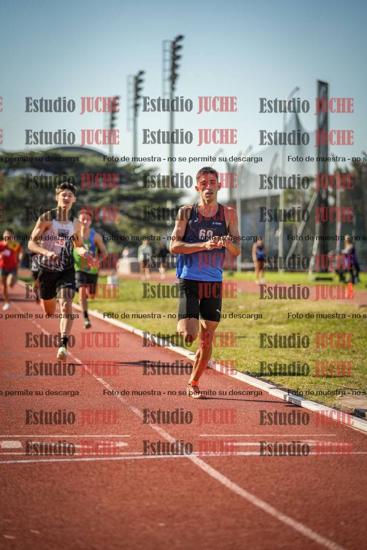 Fotos de los 800 m llanos de varones