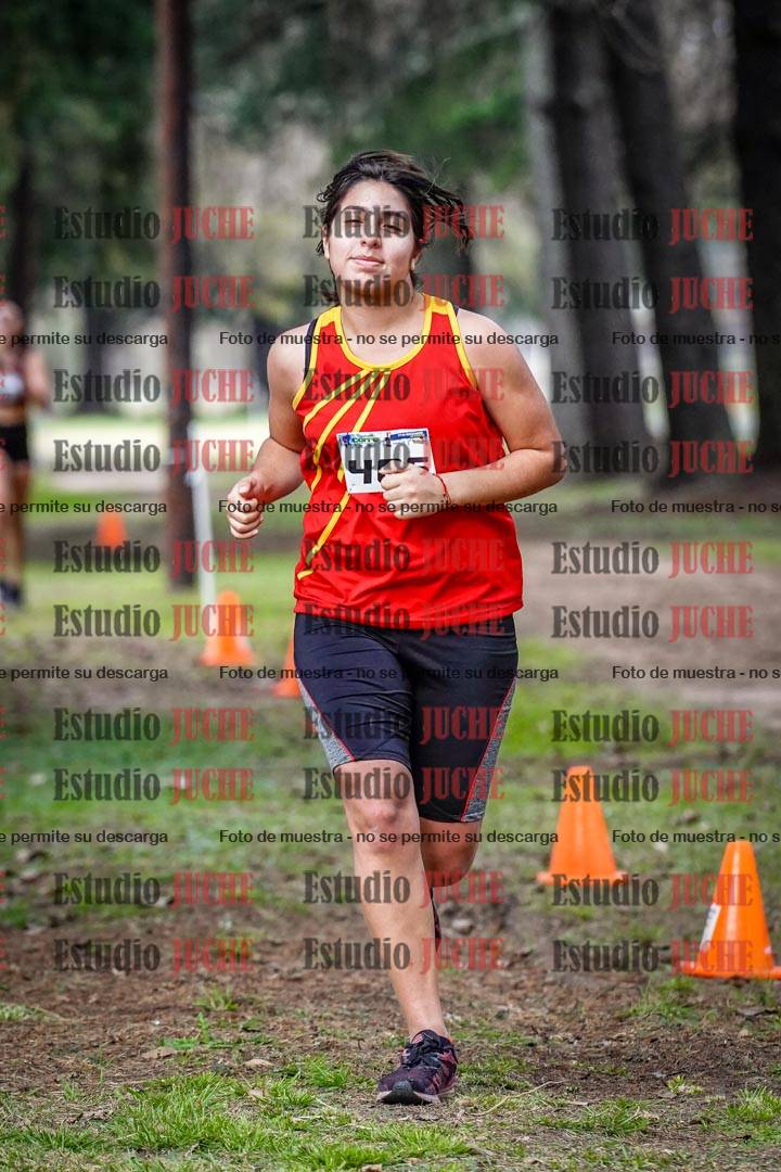 Fotos en el circuito