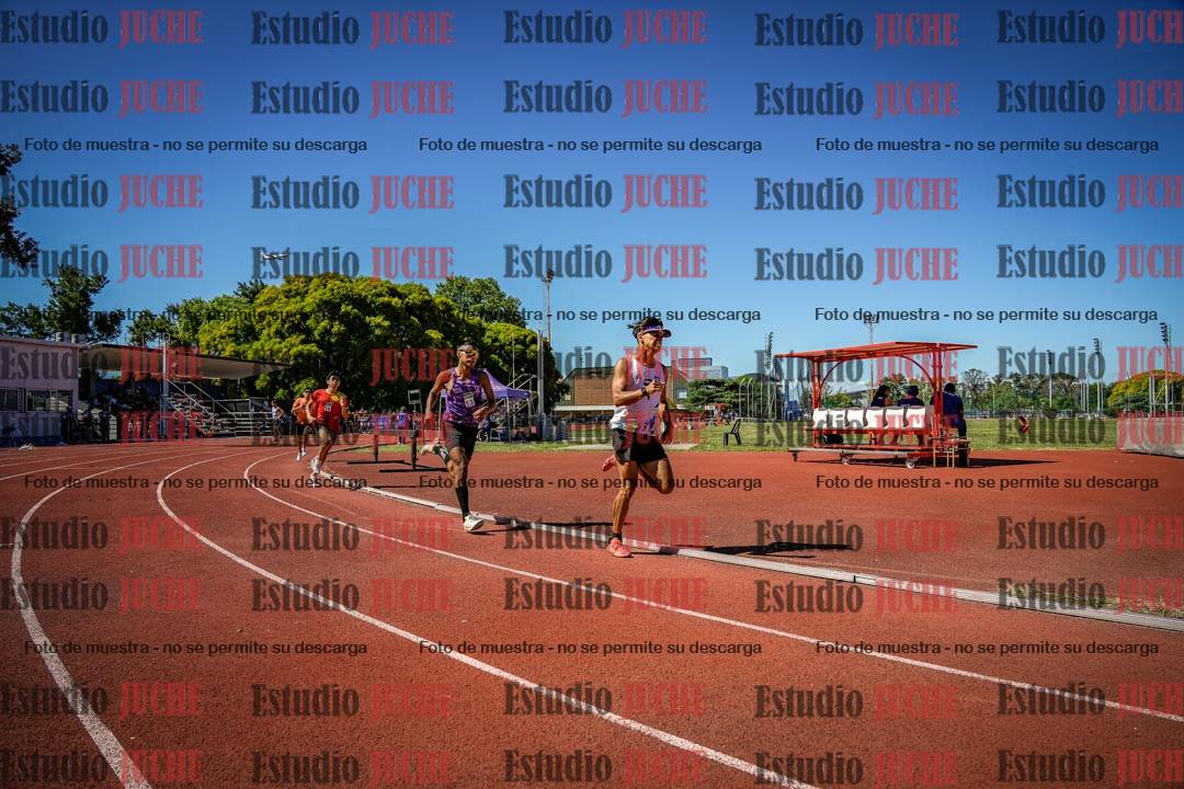 Fotos de los 800 m llanos de varones