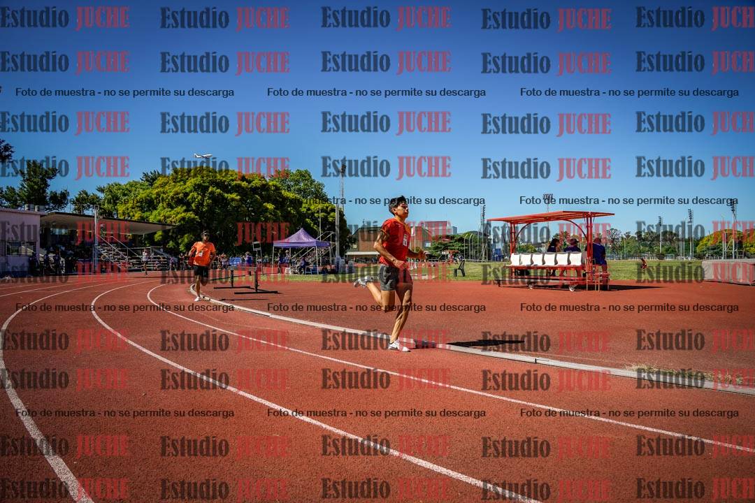 Fotos de los 800 m llanos de varones