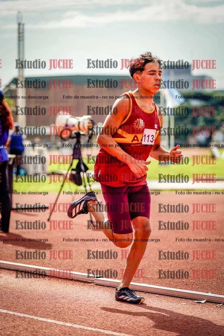 Fotos de los 800 m llanos de varones