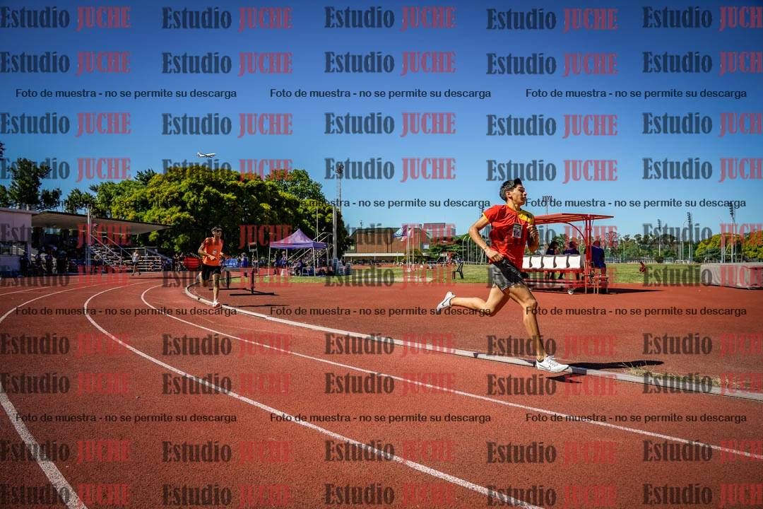Fotos de los 800 m llanos de varones