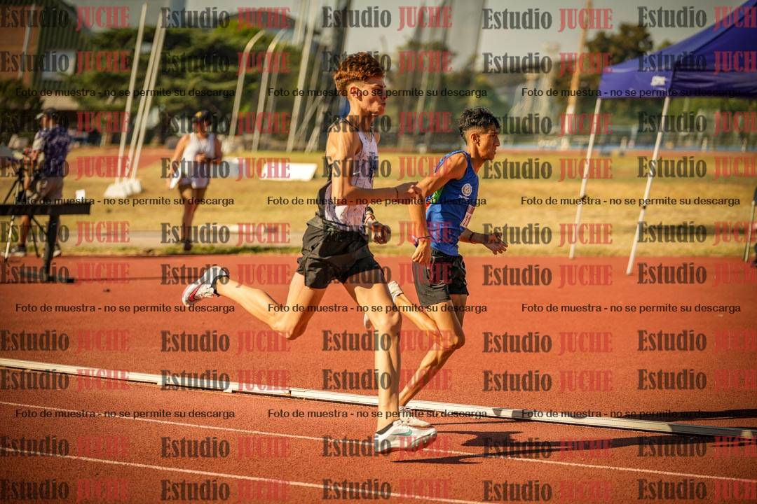 Fotos de los 800 m llanos de varones