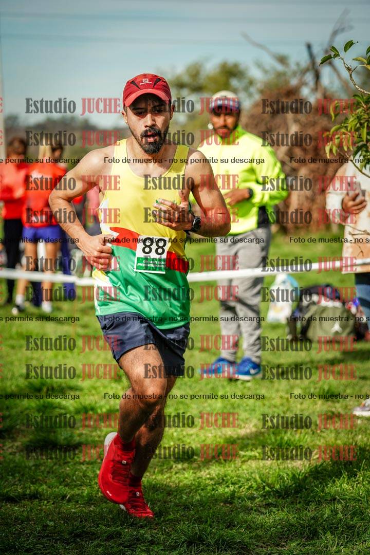 Fotos en el circuito