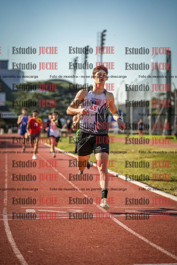 Fotos de los 800 m llanos de varones