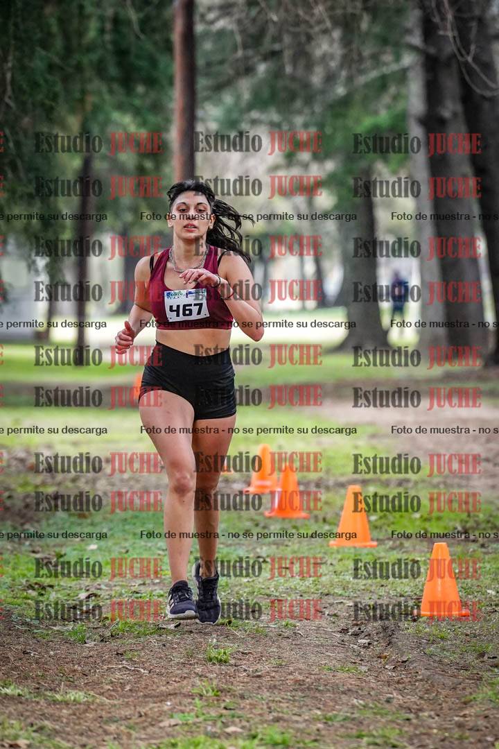Fotos en el circuito