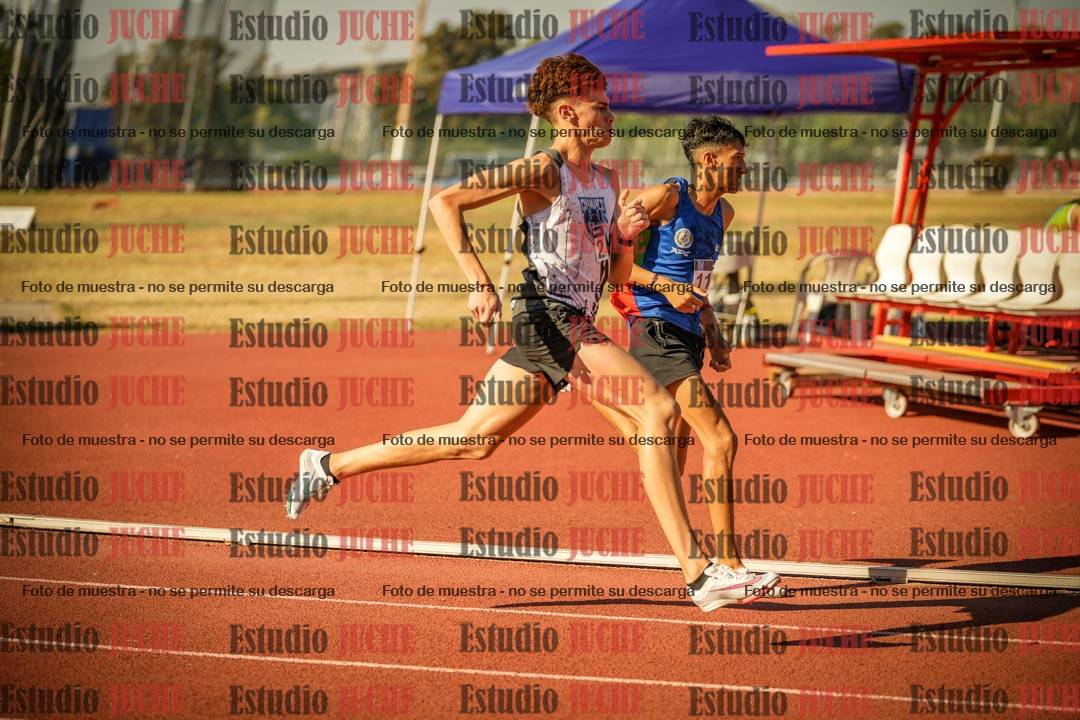 Fotos de los 800 m llanos de varones