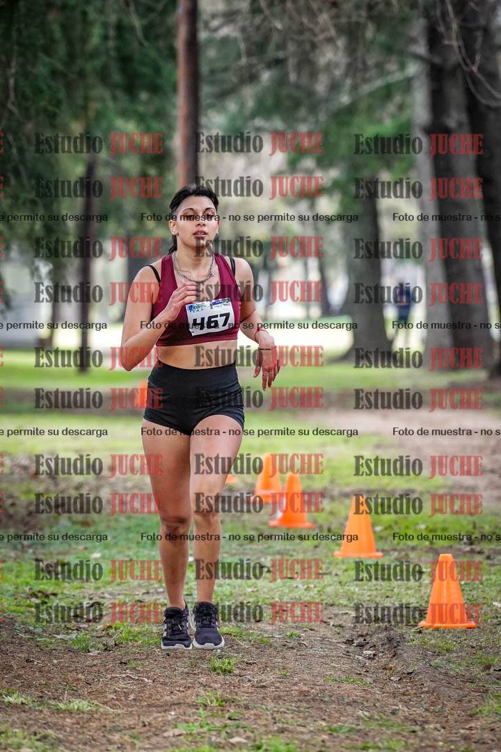 Fotos en el circuito