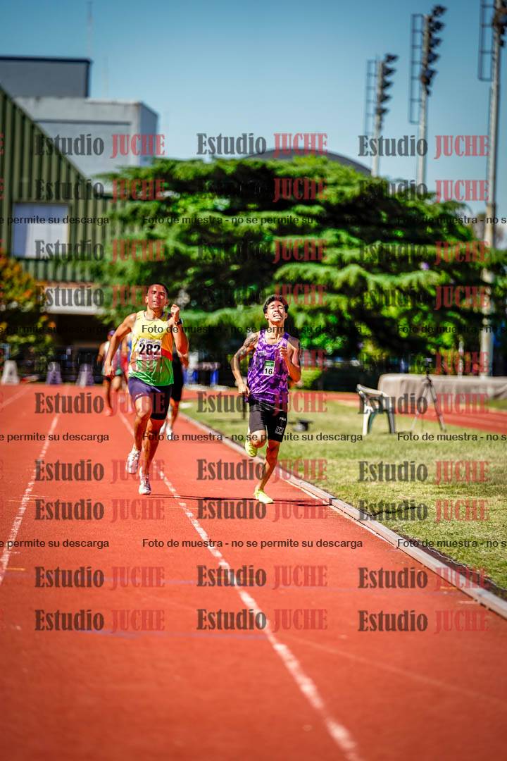 Fotos de los 800 m llanos de varones