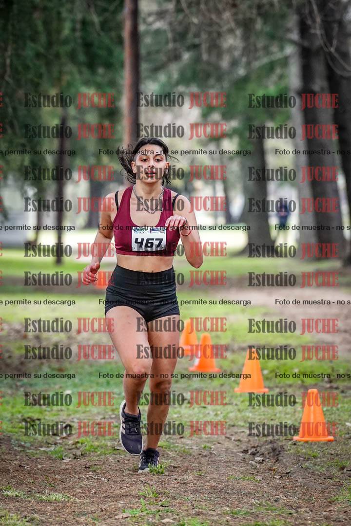 Fotos en el circuito