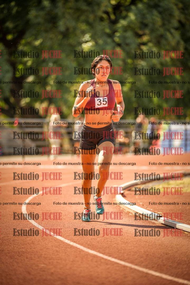 Fotos de los 800 m llanos de mujeres