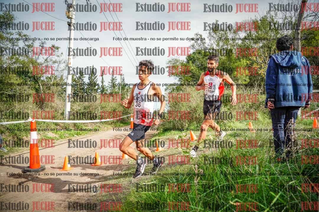 Fotos en el circuito