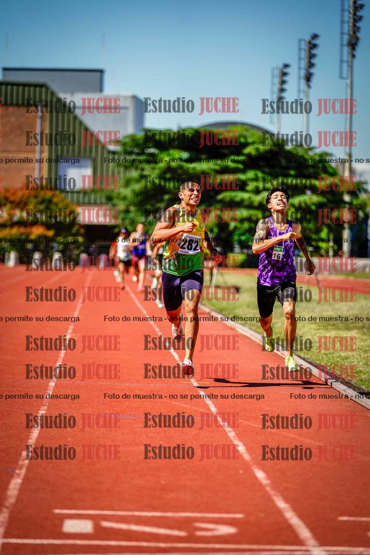 Fotos de los 800 m llanos de varones