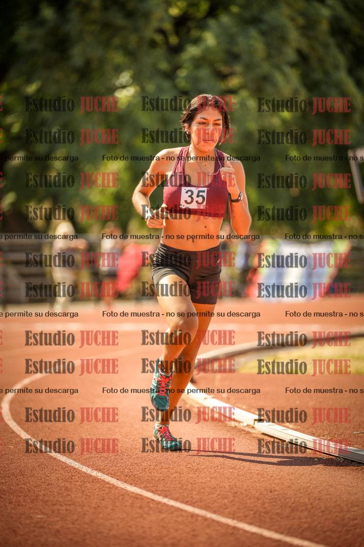 Fotos de los 800 m llanos de mujeres