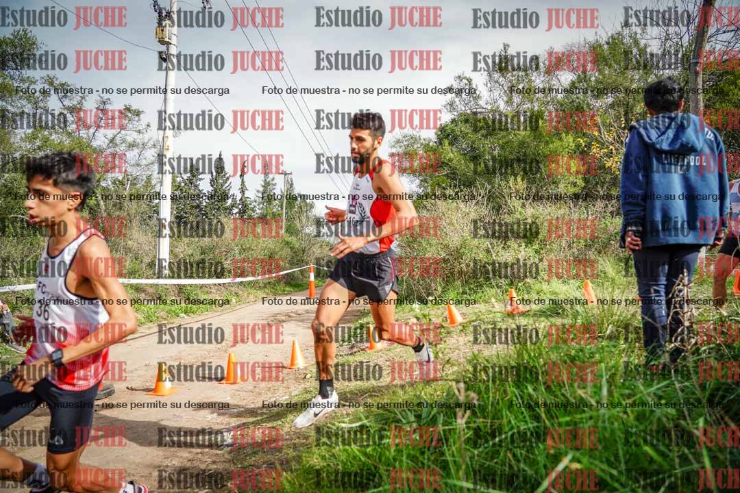 Fotos en el circuito