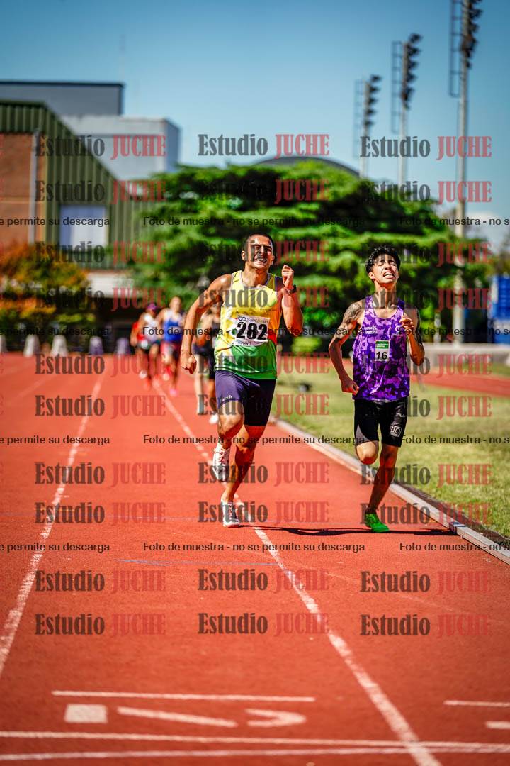 Fotos de los 800 m llanos de varones