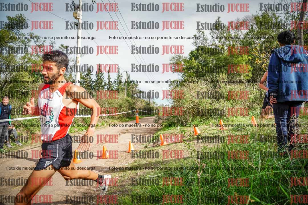 Fotos en el circuito