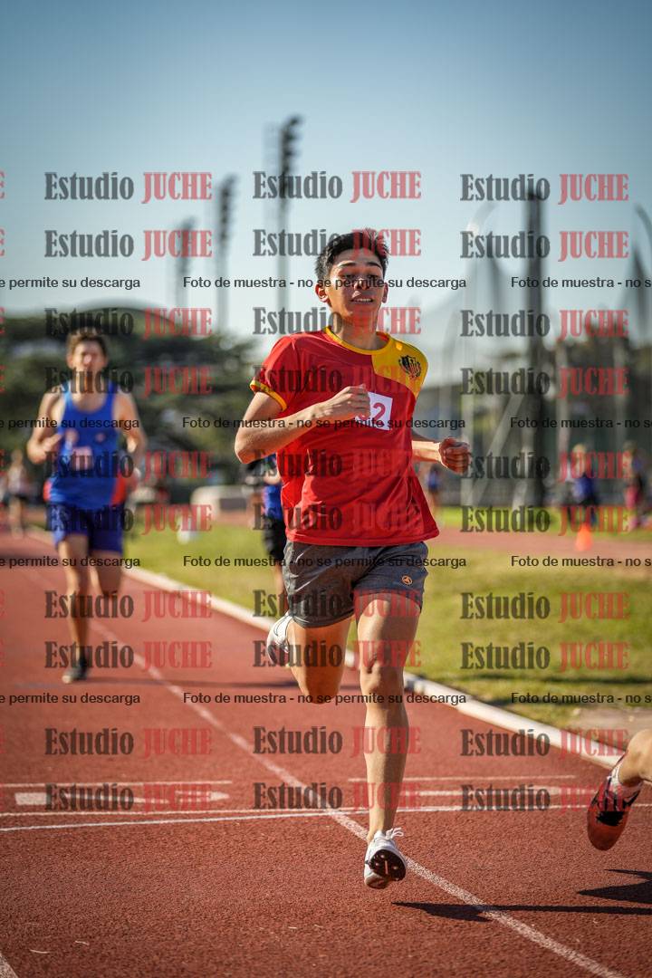 Fotos de los 800 m llanos de varones