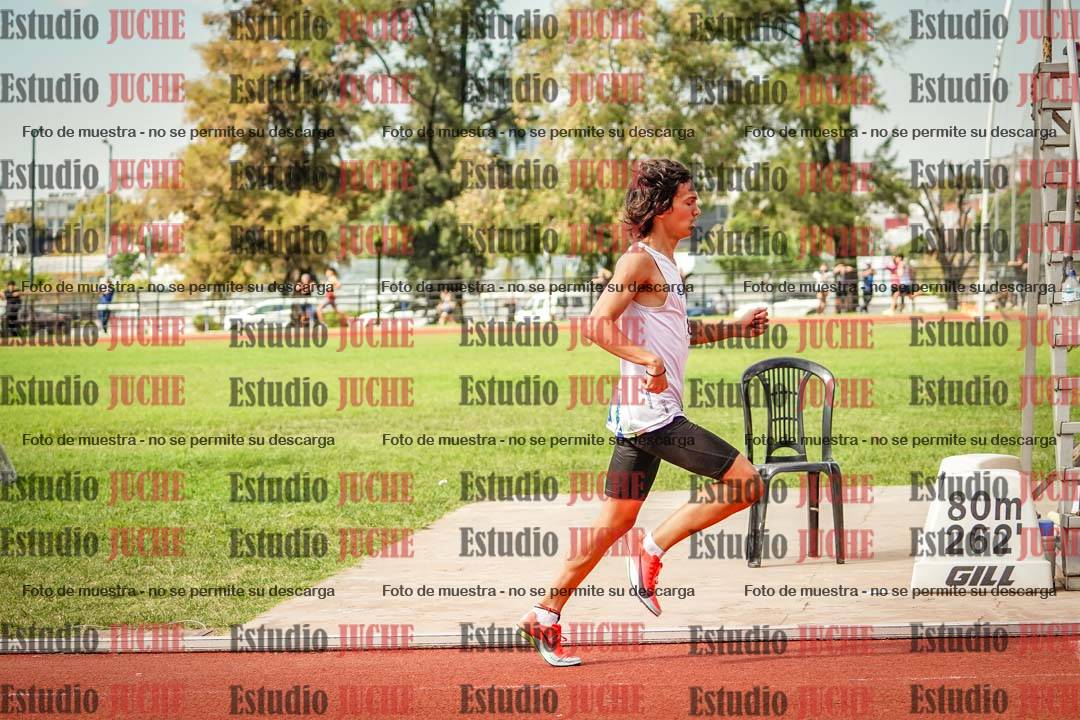 Fotos de los 800 m llanos de varones