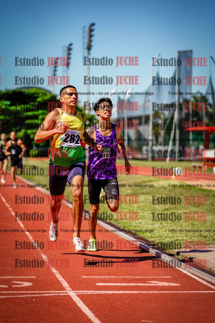 Fotos de los 800 m llanos de varones